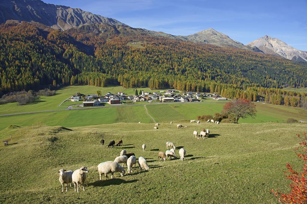 Hotel Landgasthof Staila Fuldera Exterior photo